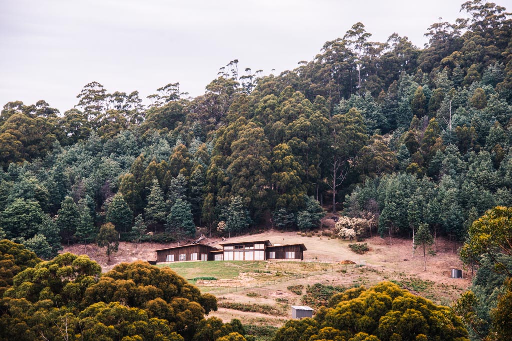 Photo of the Tuft house from a distance