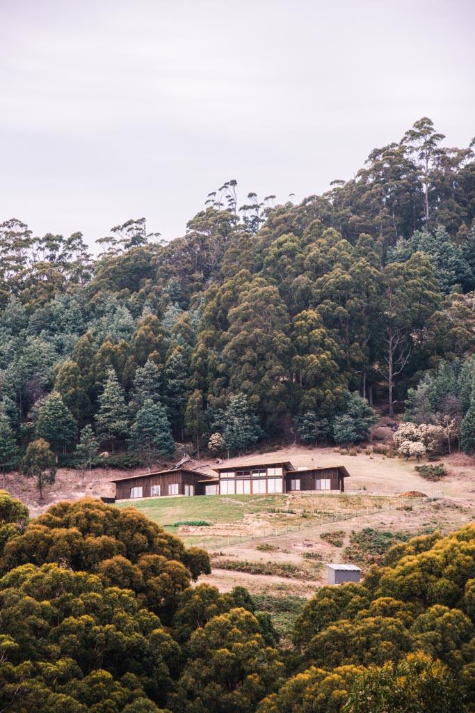 Distance view of the Tuft house